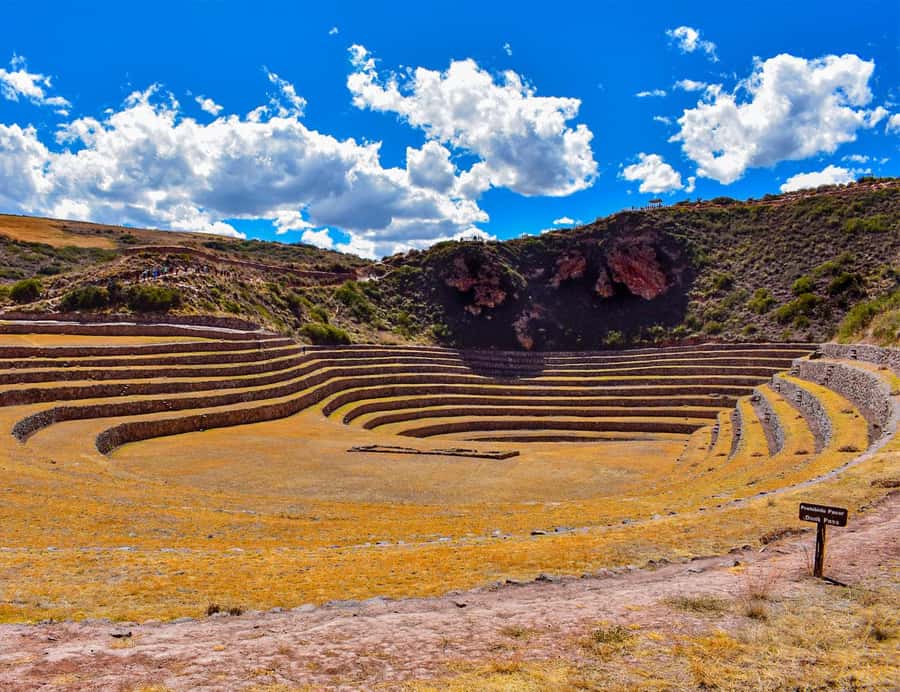 From Cusco: Moray, Maras Salt Mines & Chinchero Weavers Tour - Moray’s huge circular terraces at 11,318 feet