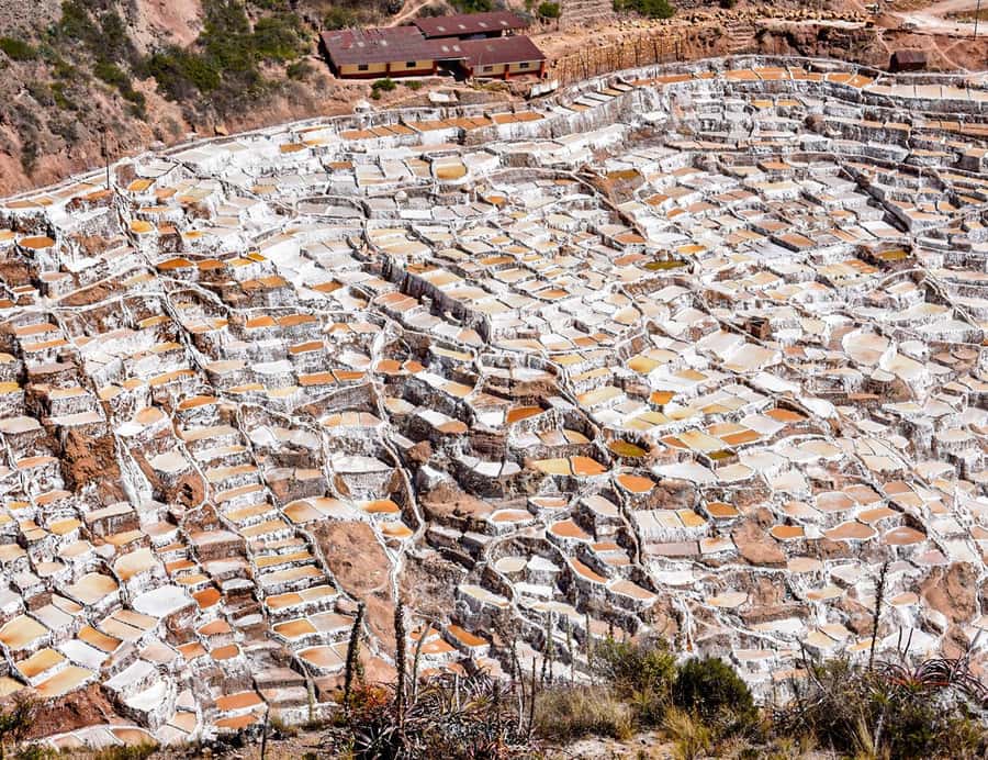 From Cusco: Moray, Maras Salt Mines & Chinchero Weavers Tour - Maras village and the salt mines