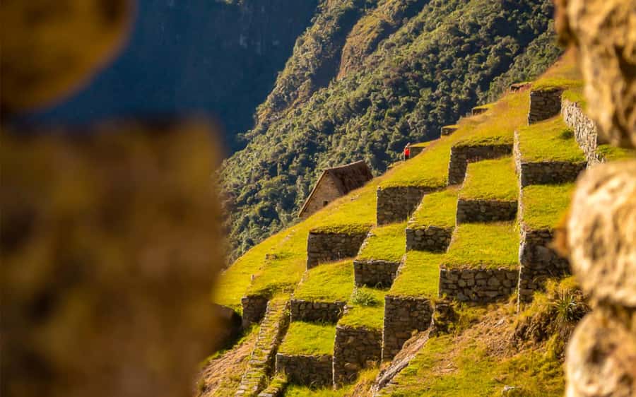 From Cusco: One-Day Round Trip to Machu Picchu by Train - What $350 buys you, and what it does not