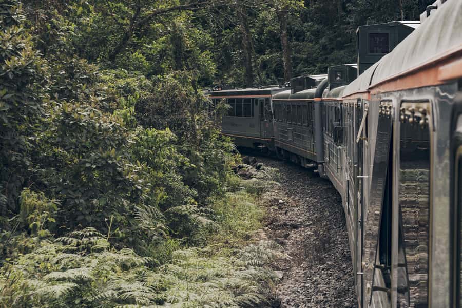 From Cusco: One-Day Tour to Machu Picchu - The long-day drawbacks you should accept
