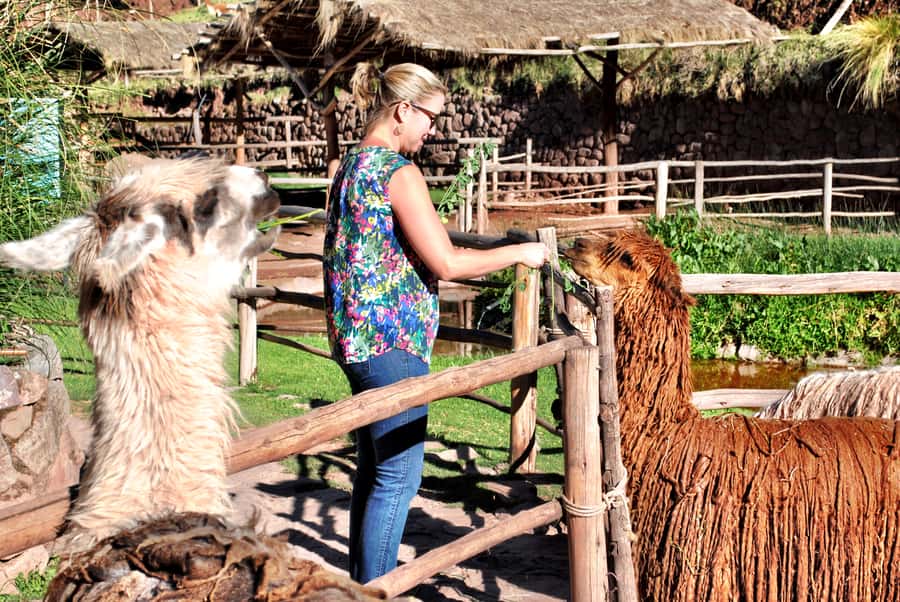 From Cusco: Private Pisac Ruins and Alpaca Farm Day Trip - The ride from Cusco to Pisac