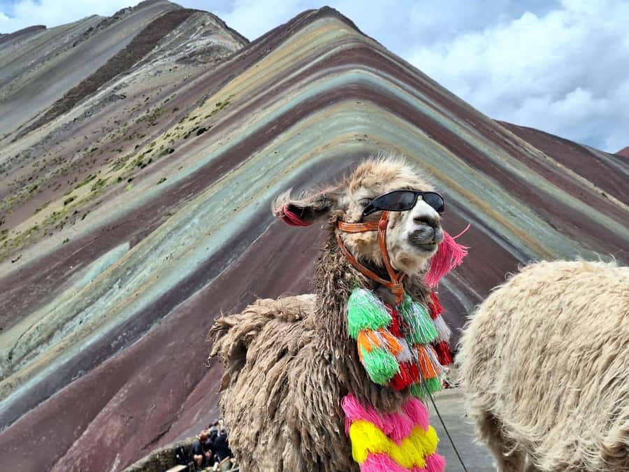 From cusco: Rainbow Mountain ATV Tour with meals - Your Hour at Rainbow Mountain