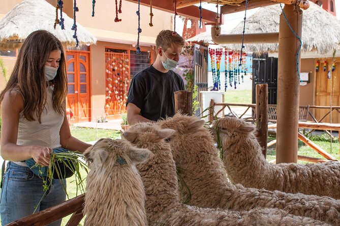 From Cusco: Sacred valley and Moray salt Mines - Key points to know before booking