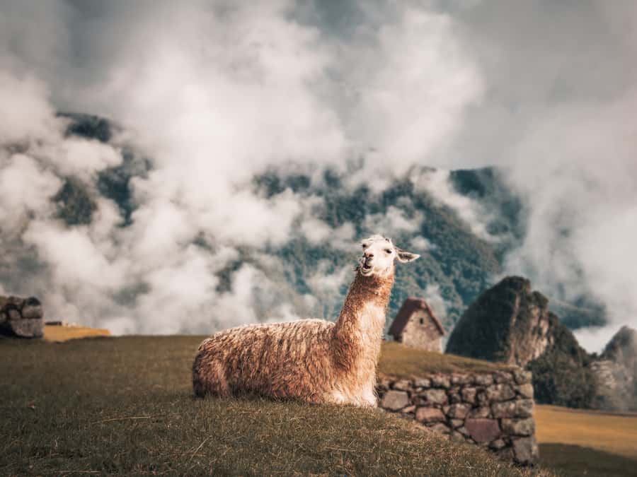 From Cusco: Sacred Valley & Machu Picchu 2-Day Tour by Train - The Maras salt mines and a famous Sacred Valley view