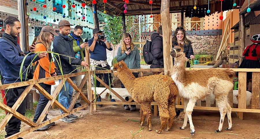 From Cusco: Sacred Valley & Maras Salt Mines Tour with Lunch - Why this $28 day trip offers good value