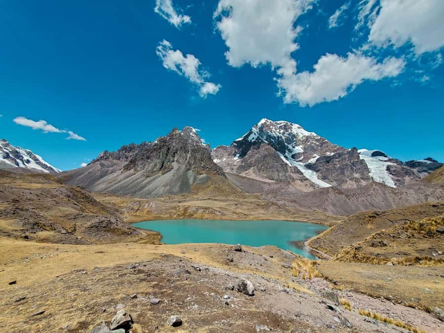 From Cusco: Tour Ausangate & 7 Lakes Full Day - Animals along the route