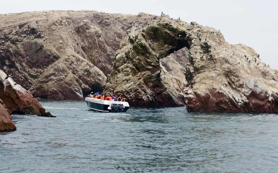 From Huacachina: Ballestas and Paracas Reserve - GROUP TOUR - Key points to know before booking