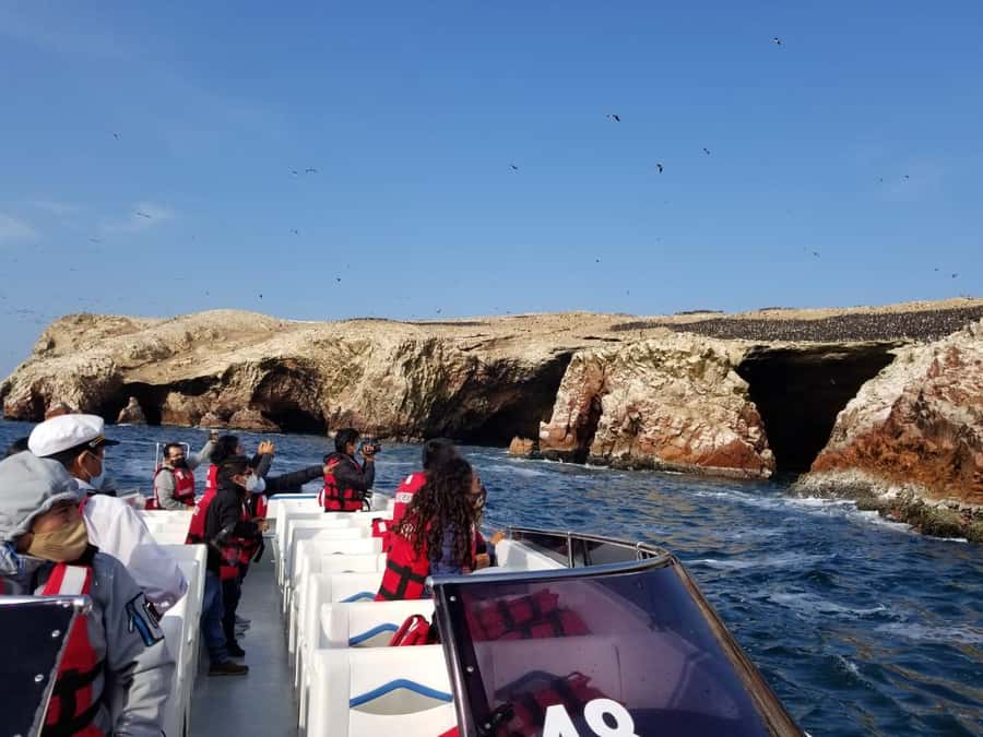 From Huacachina: Ballestas and Paracas Reserve - GROUP TOUR - Who will enjoy this day most