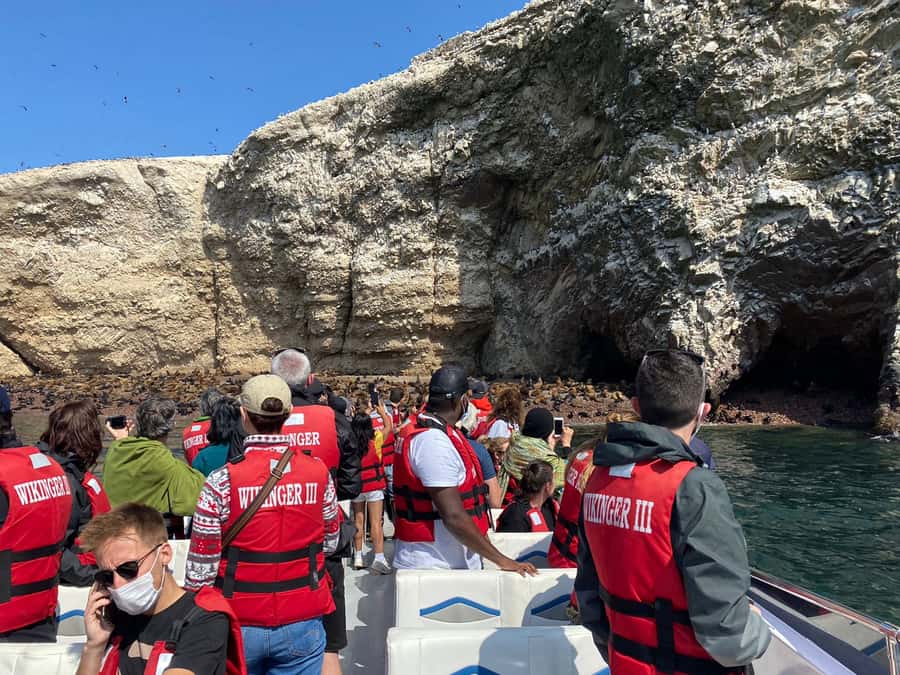 From Huacachina: Ballestas and Paracas Reserve - GROUP TOUR - Paracas National Reserve and the red shore