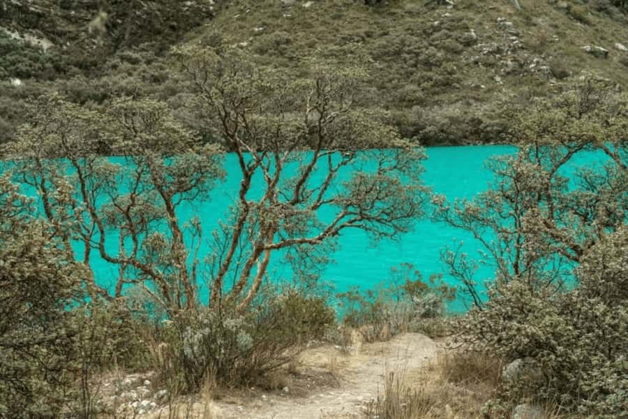 From Huaraz: Tour to Llanganuco Lakes (Chinancocha Lake) - Transport, comfort, and roadside facilities