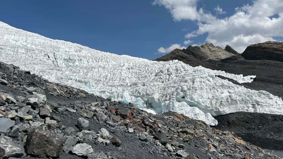 From Huaraz: Tour to the Pastoruri Glacier and Puya Raimondi - Puma Pampa, Carbonated Water, and Puya Raimondi