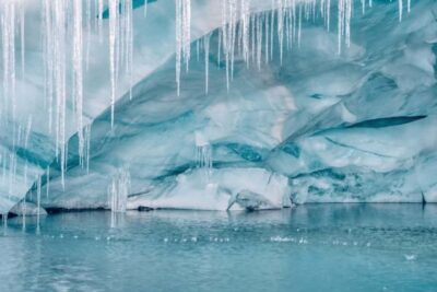 Tour to the Pastoruri Glacier and Puya Raimondi