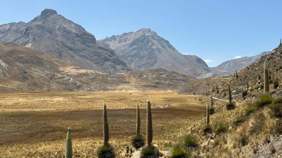 From Huaraz: Tour to the Pastoruri Glacier and Puya Raimondi - Pastoruri Glacier and the Climate Change Route