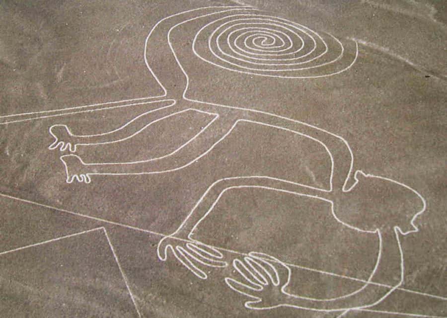 From Ica: Flight over the Nazca Lines - Why seeing the Nazca Lines from above matters