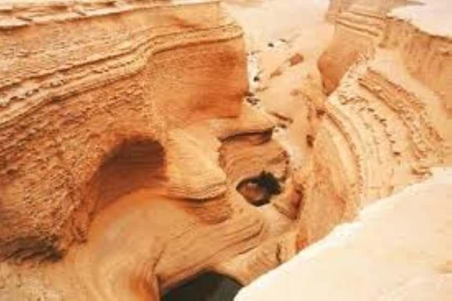 From Ica || Full Day Excursion to Los Perdidos Canyon || - Key points to know before booking
