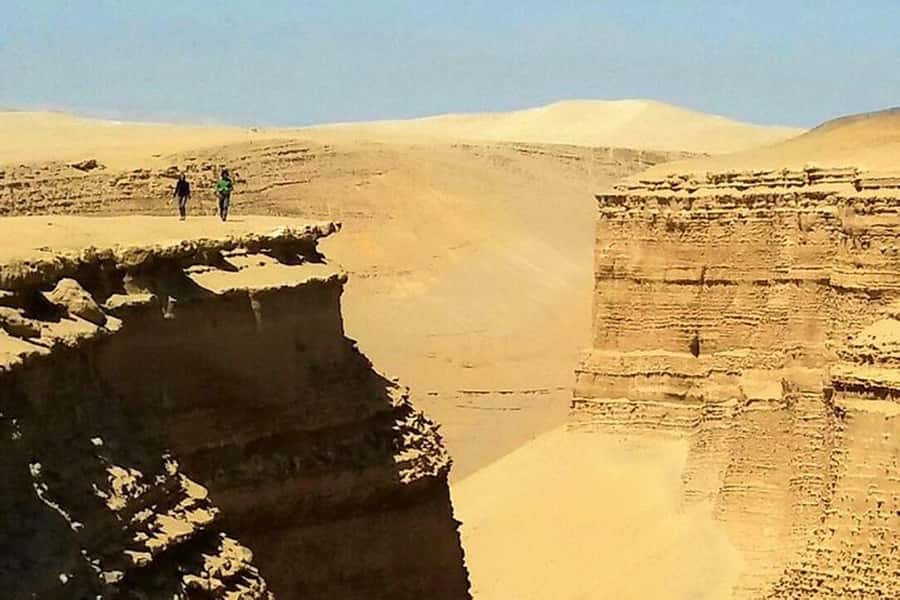 From Ica | Huacachina : Canyon de Los Perdidos | Full Day - Why this remote canyon is worth seeing