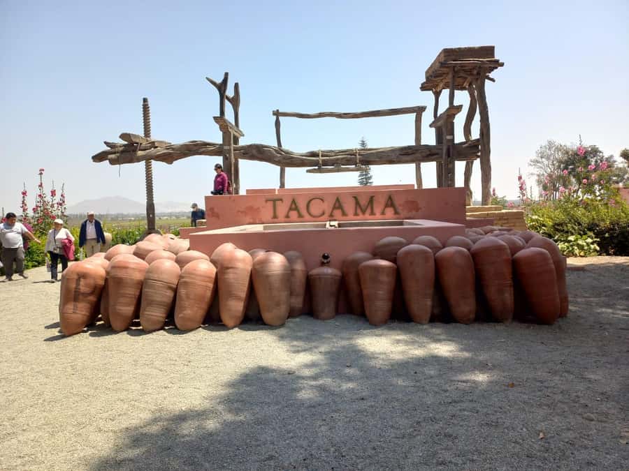 From Ica or Huacachina: Tour to Tacama Vineyard and Artisanal Winery. - Key points at a glance
