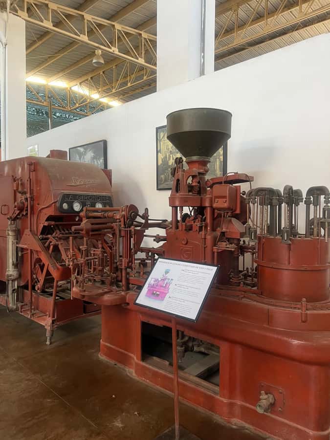 From Ica or Huacachina: Tour to Tacama Vineyard and Artisanal Winery. - La Vieja Bodega Lovera and four generations of family work