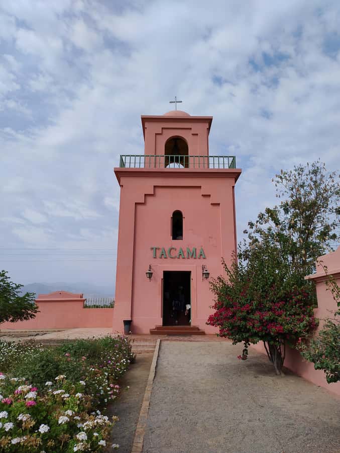 From Ica or Huacachina: Tour to Tacama Vineyard and Artisanal Winery. - Cutur Pisco and the old Spanish cellars