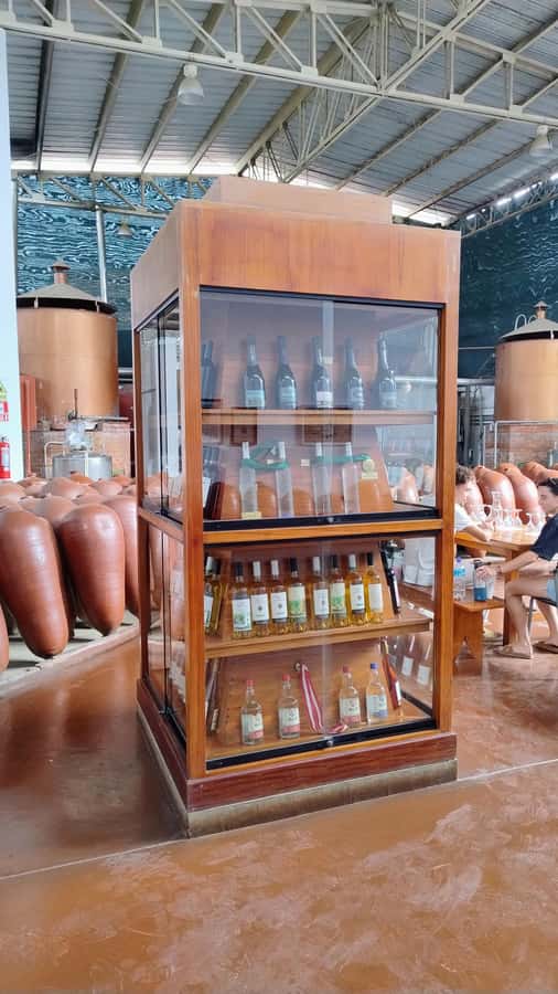 From Ica or Huacachina: Tour to Tacama Vineyard and Artisanal Winery. - Who should book this experience