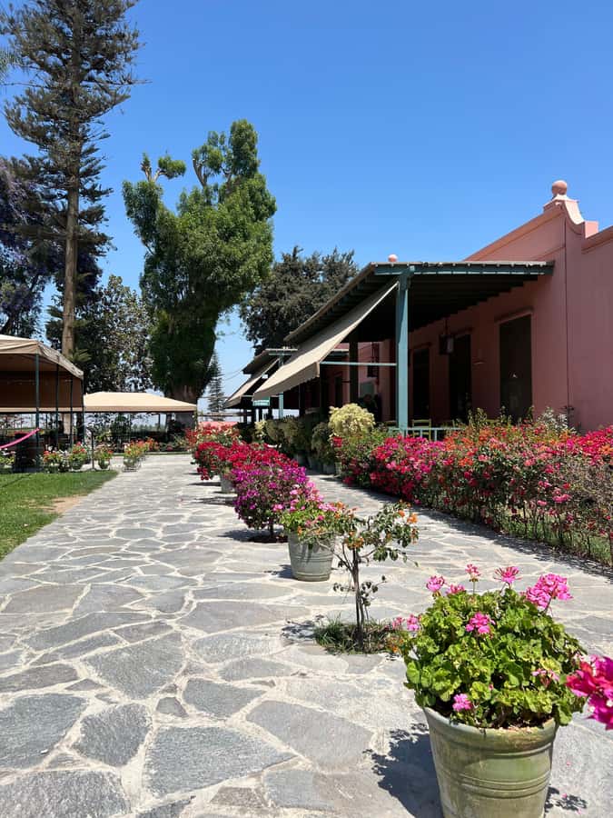 From Ica or Huacachina: Tour to Tacama Vineyard and Artisanal Winery. - Booking value and practical details
