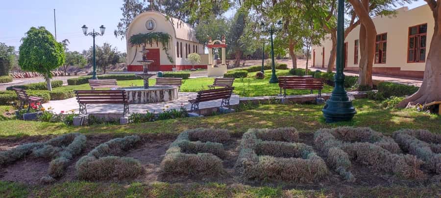 From Ica or Huacachina: Tour to Tacama Vineyard and Artisanal Winery. - Starting from Ica or Huacachina