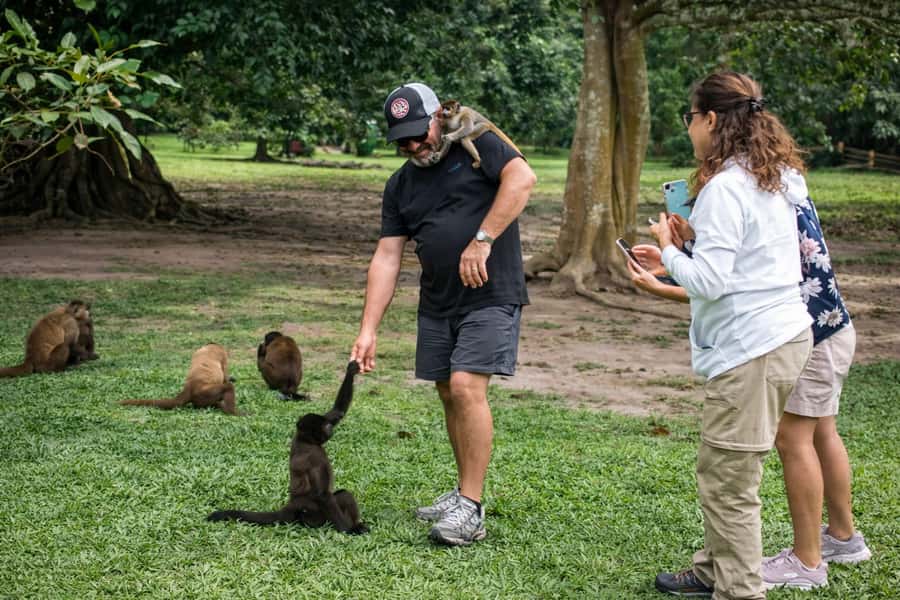 From Iquitos: 3-Day Amazon Jungle Adventure Trip - Is $467 a good value?