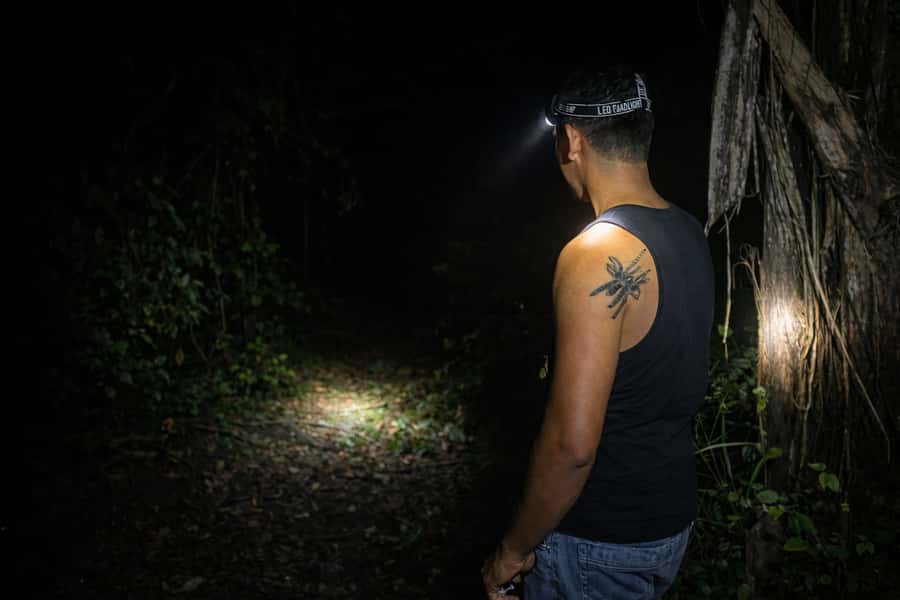 From Iquitos: 3-Day Amazon Jungle Adventure Trip - Sunrise, birds, and a slower second morning