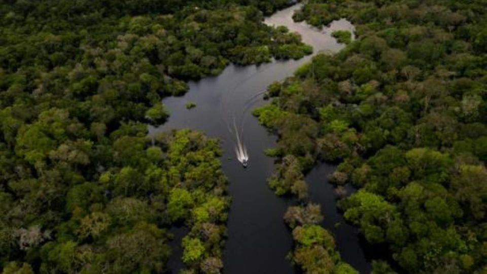 From Iquitos: 3-Day Amazon Jungle Adventure Trip - Wildlife: good chances, no guarantees