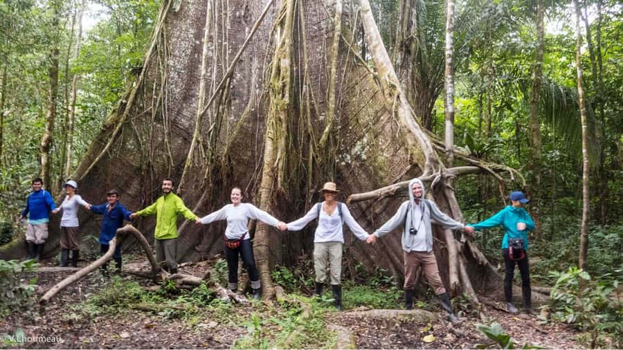 From Iquitos: Full day tour in the Peruvian jungle - Victoria Regia and the reserve’s unusual residents