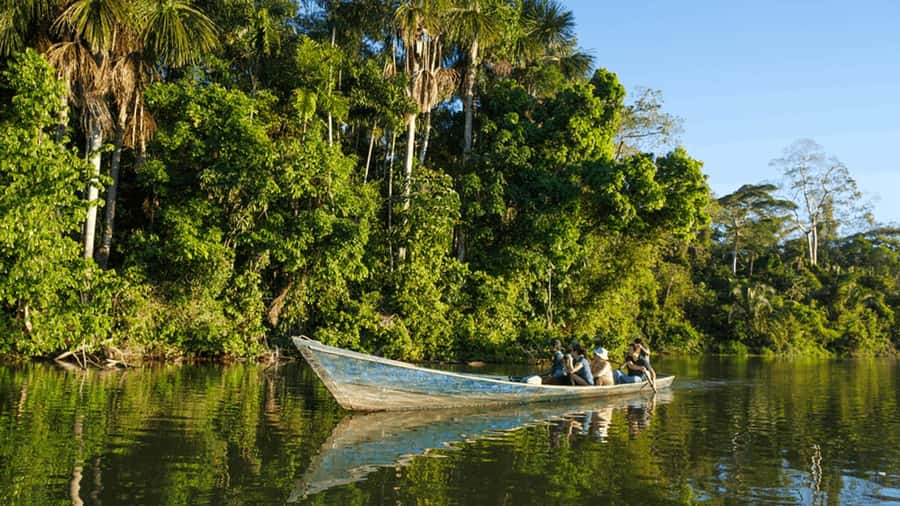 From Iquitos: Full day tour in the Peruvian jungle - From the Itaya River to the Amazon