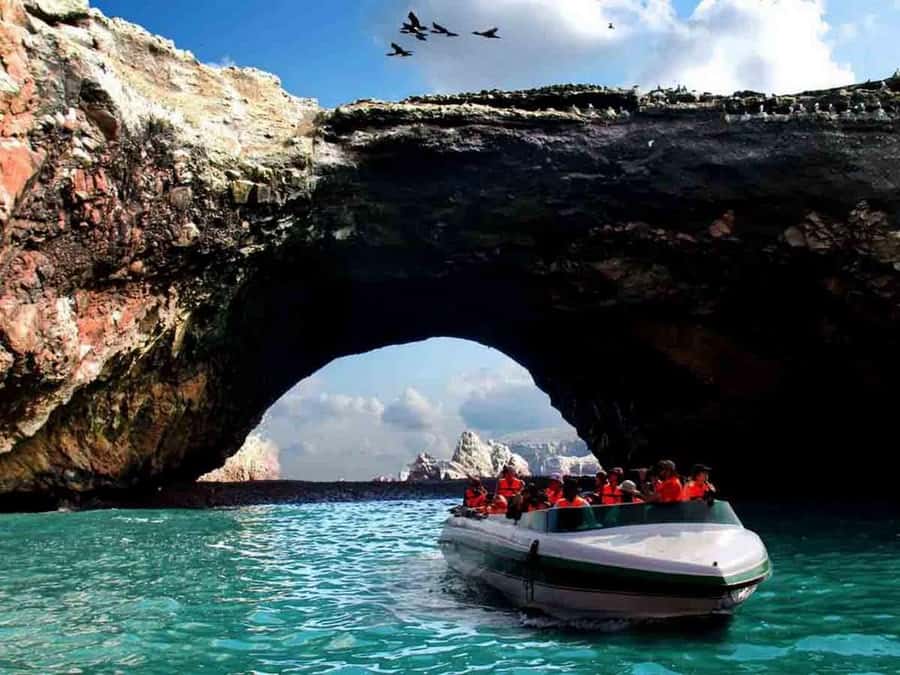 From Lima: 2 Days to Paracas & Huacachina | 2 Days/1 Night - The best parts of the trip at a glance