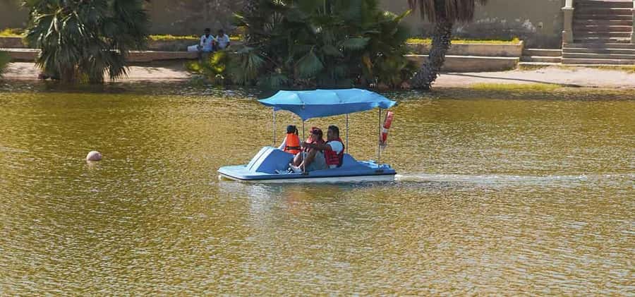 From Lima: Ballestas Islands and Huacachina Sunset Day Trip - Ballestas Islands: sea lions, penguins, and open water