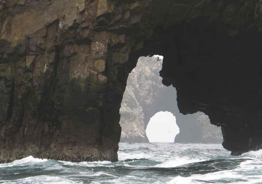From Lima: Ballestas Islands and Huacachina Sunset Day Trip - Lunch, pisco, and the taste of Ica