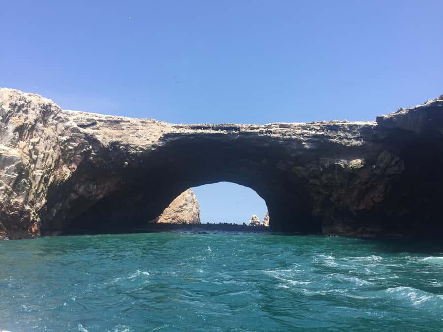 From Lima: Ballestas Islands, Huacachina, and Vineyard Tour - Getting back to Lima by 8 p.m.