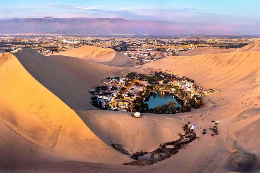 From Lima: Ballestas Islands, Huacachina and Wine Route Trip - Meeting the sea lions at Ballestas Islands