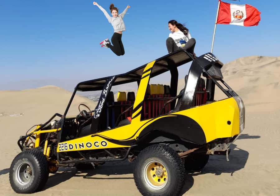From Lima: Ballestas Islands, Huacachina with buggy Economic - The marine life that makes Ballestas special