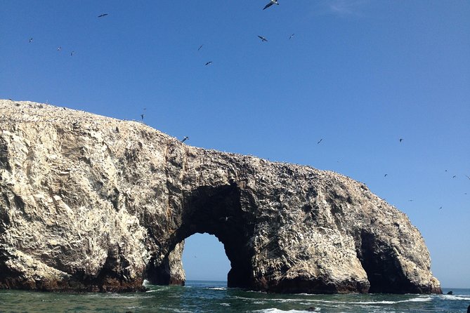 From Lima: Ballestas, Nazca Lines & Huacachina Oasis - Guides can make or break the long ride