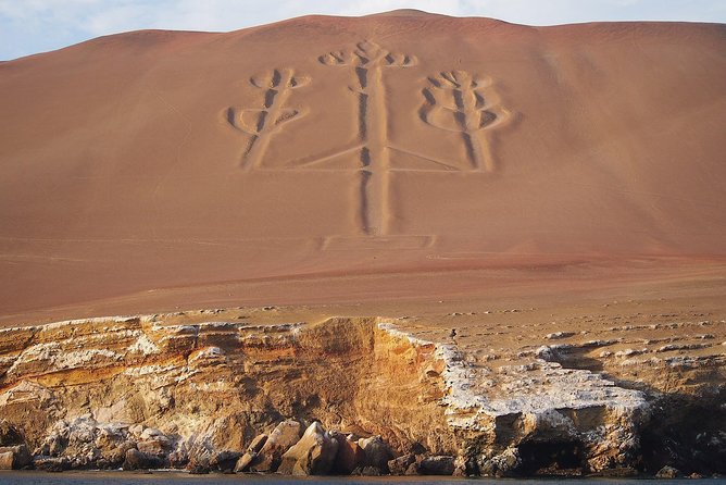 From Lima: Ballestas, Nazca Lines & Huacachina Oasis - The Nazca Lines flight from Pisco or Nazca