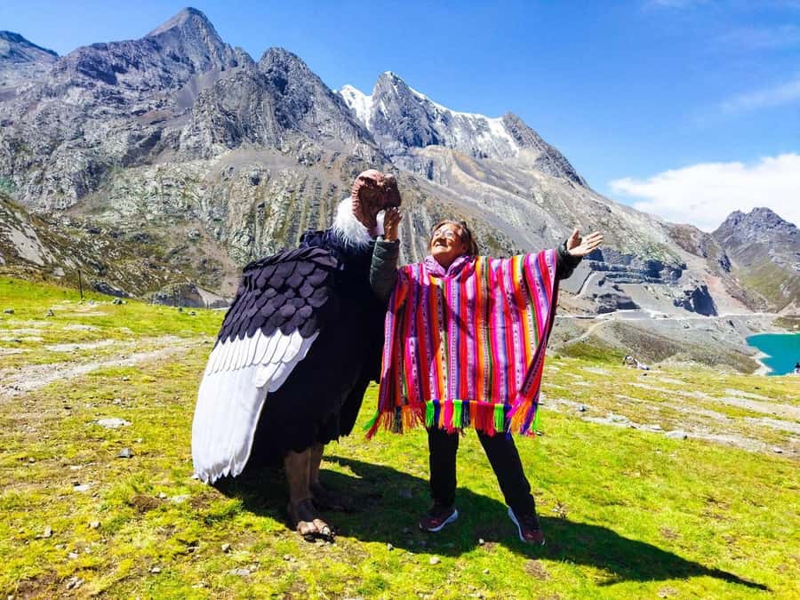 From Lima: Cordillera de la viuda | Mountain Exploration - Checta Petroglyphs: Peru’s stone pictures