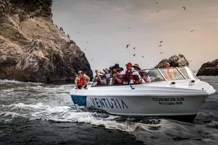 From Lima: Day trip to Paracas, Ica and Oasis Huacachina - Sandboarding, with realistic expectations