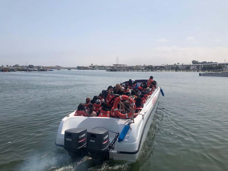 From Lima: Day Trip to Paracas, Ica & Oasis Huacachina - A 5:00 AM start from Lima