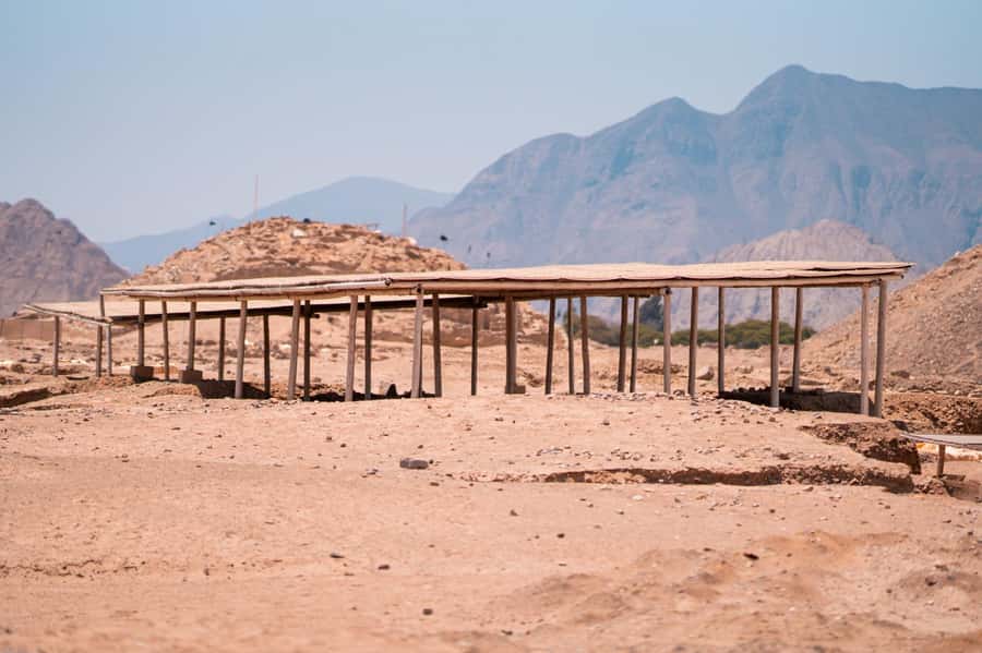 From Lima: Discover the Ancient Sites Caral & Bandurria - Who should book this day trip?