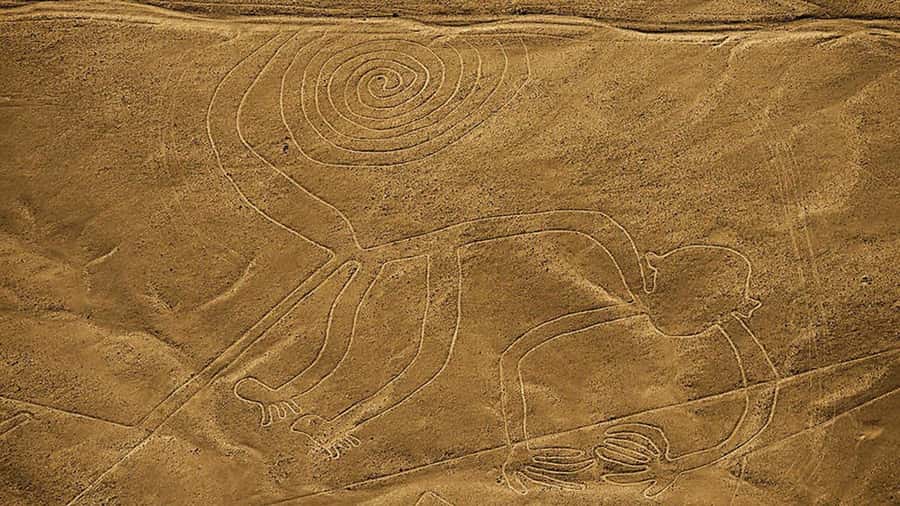 From Lima: Full day flight over in the Nazca Lines - Guides, language support, and airport help