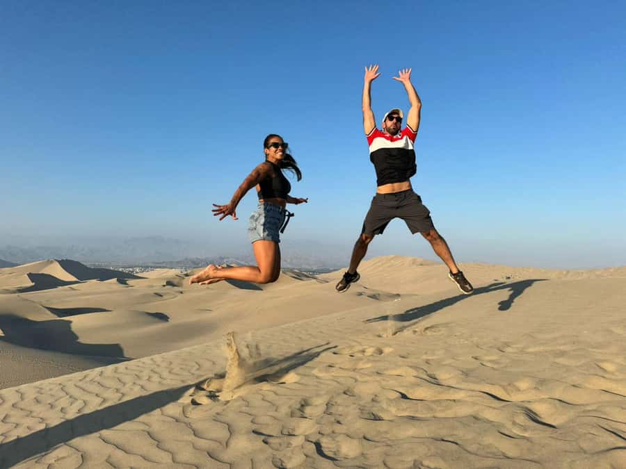 From Lima: Full Day Private All Inclusive Paracas, Ica. - Five things to know before you book
