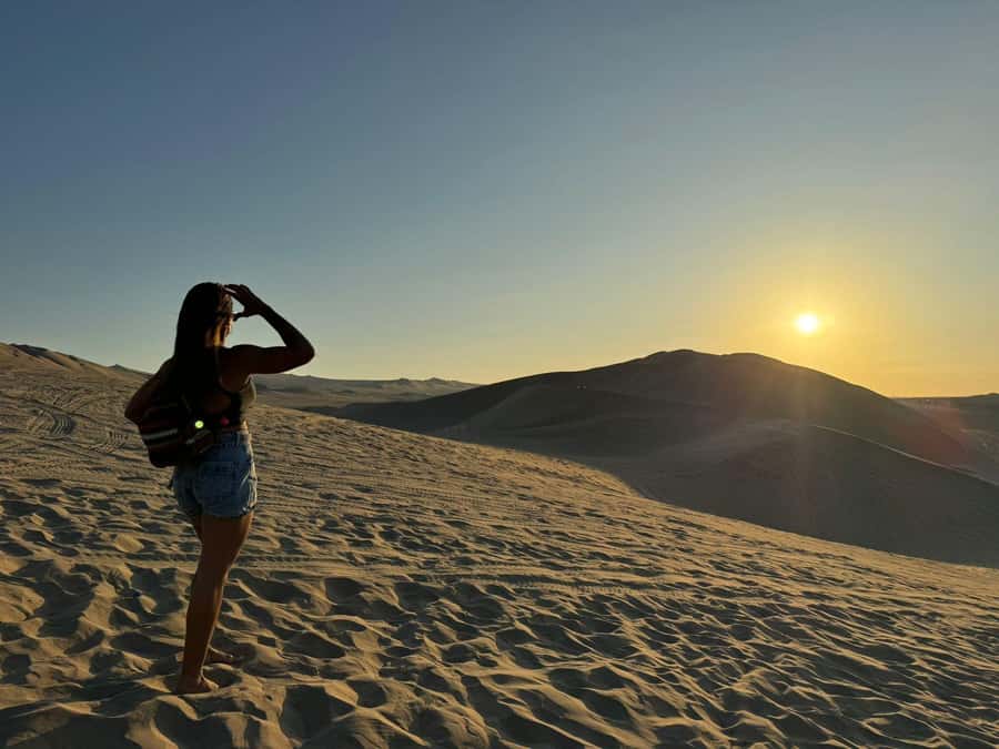 From Lima: Full Day Private All Inclusive Paracas, Ica. - Ica vineyard lunch and a taste of pisco