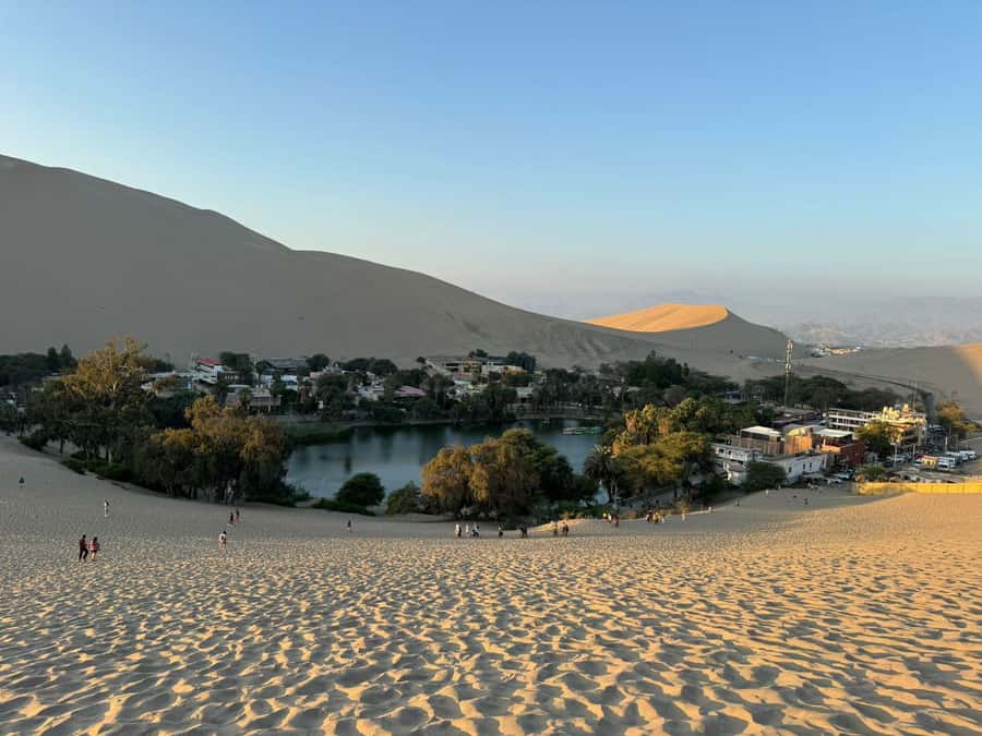 From Lima: Full Day Private All Inclusive Paracas, Ica. - Should you book the Paracas and Huacachina day trip?