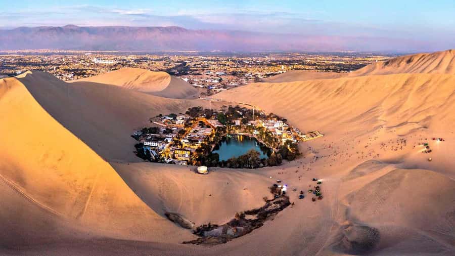 From Lima: Full Day Tour (Paracas + Huacachina) - Key points to know before you book