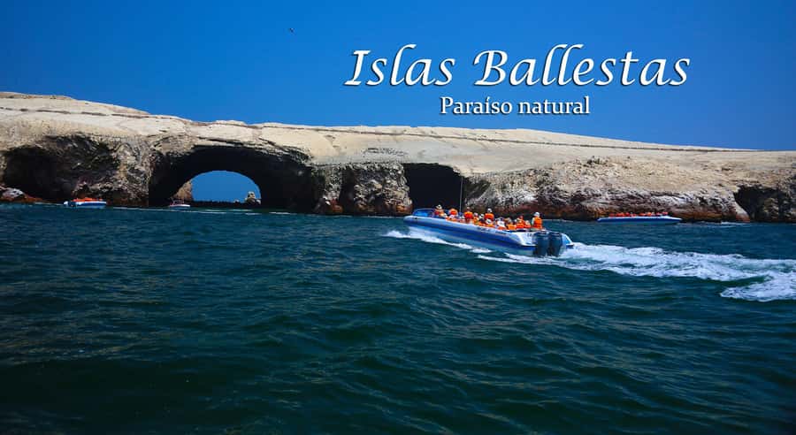 From Lima: Full Day Tour (Paracas + Huacachina) - Who should book this tour?