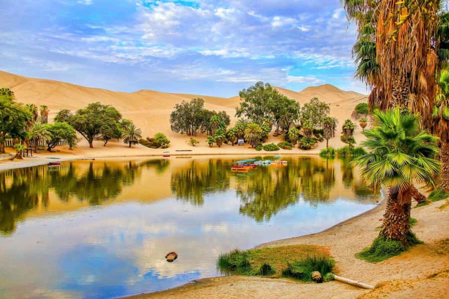 From Lima: Huacachina Oasis & Ballestas Island - ENGL / ESPA - Why this Lima day trip works